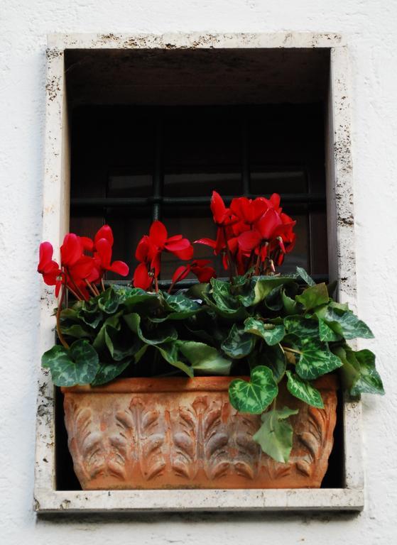 Le Stanze Dei Nonni Bed & Breakfast Avellino Bagian luar foto